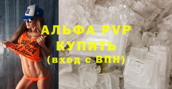 стаф Нефтегорск