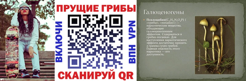 Галлюциногенные грибы ЛСД  закладки  Петровск-Забайкальский 